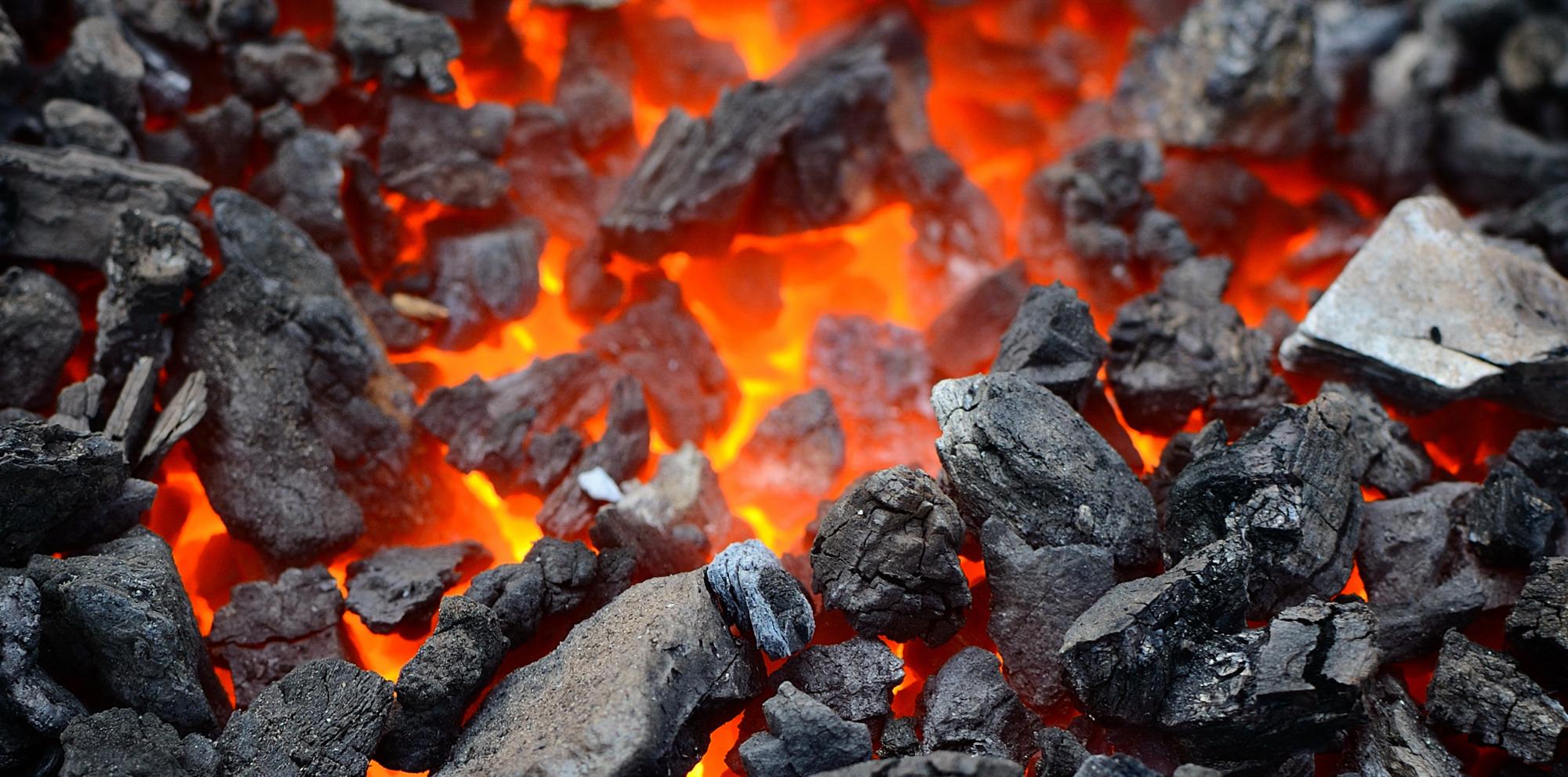 сертификация древестного угля