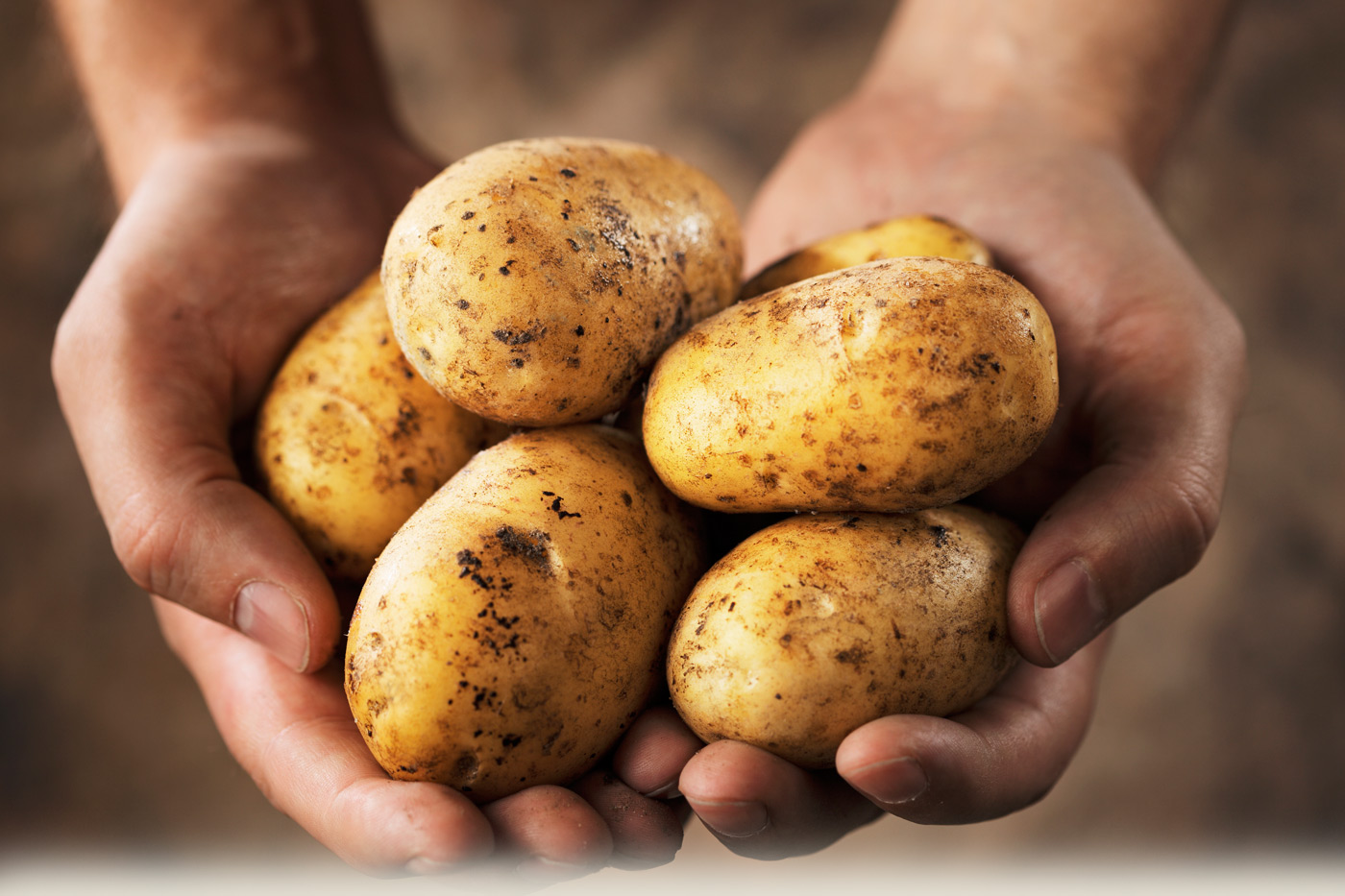 сертификация и декларирование картофеля