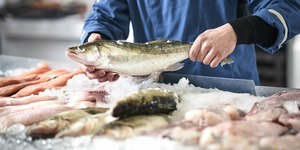 Перечень продукции, подлежащей оценке соответствия требованиям «рыбного» ТР ЕАЭС, вынесен на обсуждение
